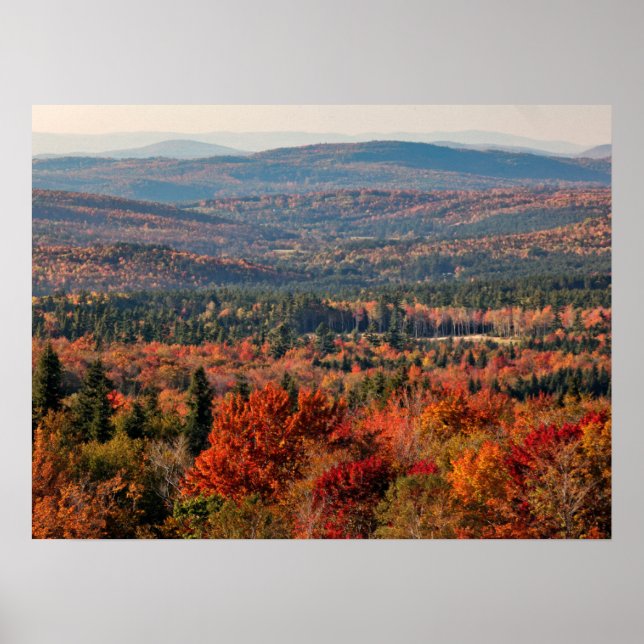Poster Forêt nationale de White Mountains | New Hampshire (Devant)