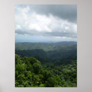Poster Forêt nationale d'El Yunque
