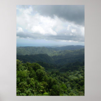 Poster Forêt nationale d'El Yunque