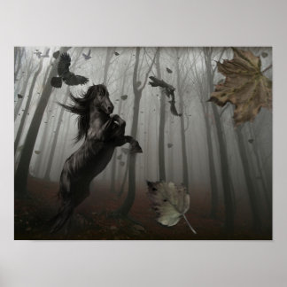 Poster Forêt Noire