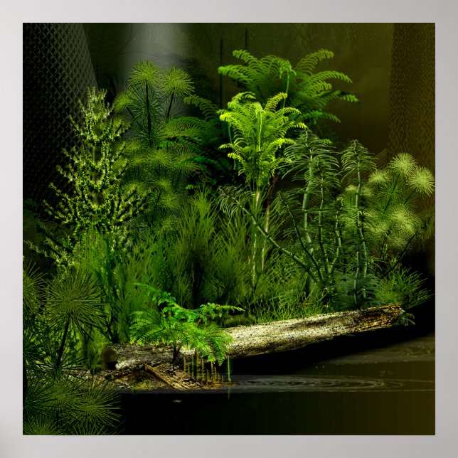 Poster forêt profonde de carbo 2 (Devant)