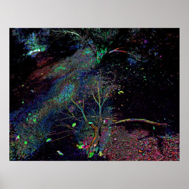 Poster Forêt psychédélique... (Devant)