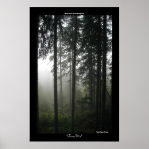Poster Forêt sauvage des arbres de Misty Imprimer