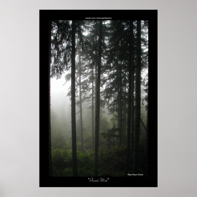 Poster Forêt sauvage des arbres de Misty Imprimer (Devant)