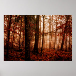 Poster Forêt sauvage rouge brumeux hiver sans neige
