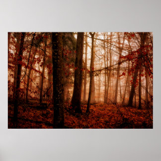 Poster Forêt sauvage rouge brumeux hiver sans neige