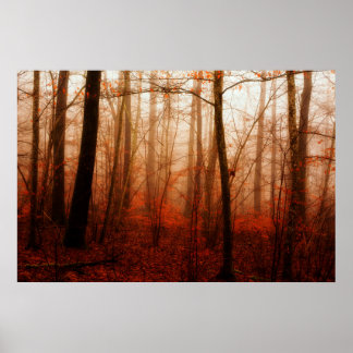 Poster Forêt sauvage rouge brumeux hiver sans neige