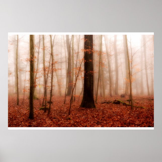Poster Forêt sauvage rouge brumeux hiver sans neige (Devant)