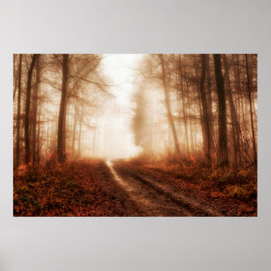 Poster Forêt snowless d'hiver brumeux rouge dramatique