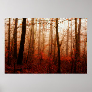 Poster Forêt snowless d'hiver brumeux rouge dramatique
