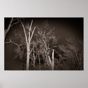 Poster Forêt sombre – Art d'arbre en noir et blanc hantan