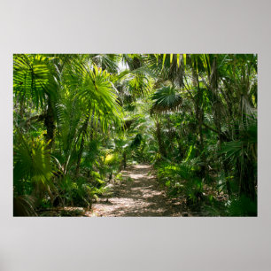 Poster Forêt Tropical Rainforest Tulum Mexique