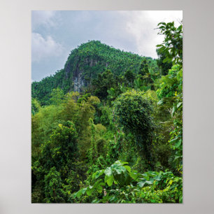 Poster Forêt tropicale luxuriante et pic El Yunque