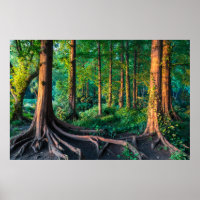 Forêt | Végétation et forêt