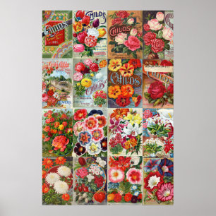 Poster Forfaits vintages de graines de fleurs Collage de 