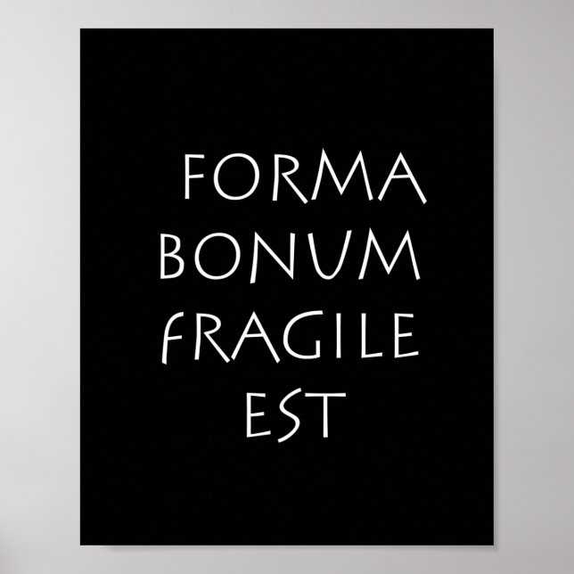 Poster Forma bonum fragile (Devant)