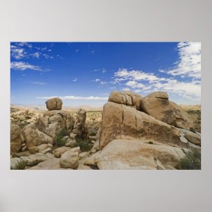 Poster Formations Joshua Tree