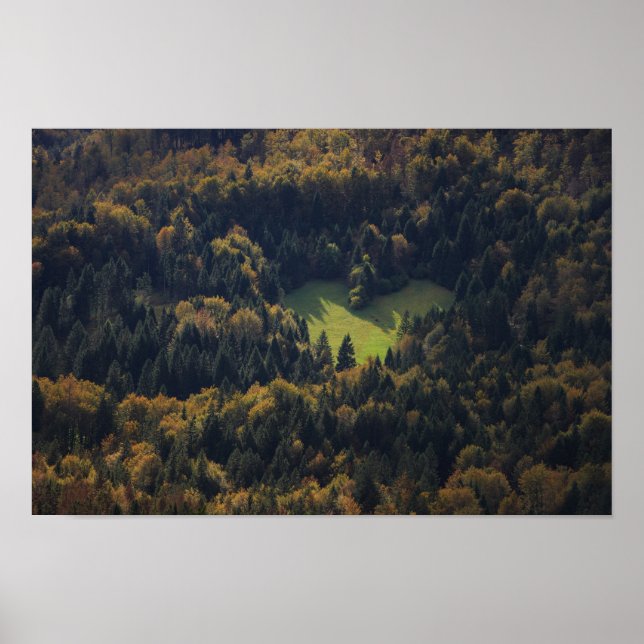 Poster Forme cardiaque dans une forêt en Slovénie (Devant)