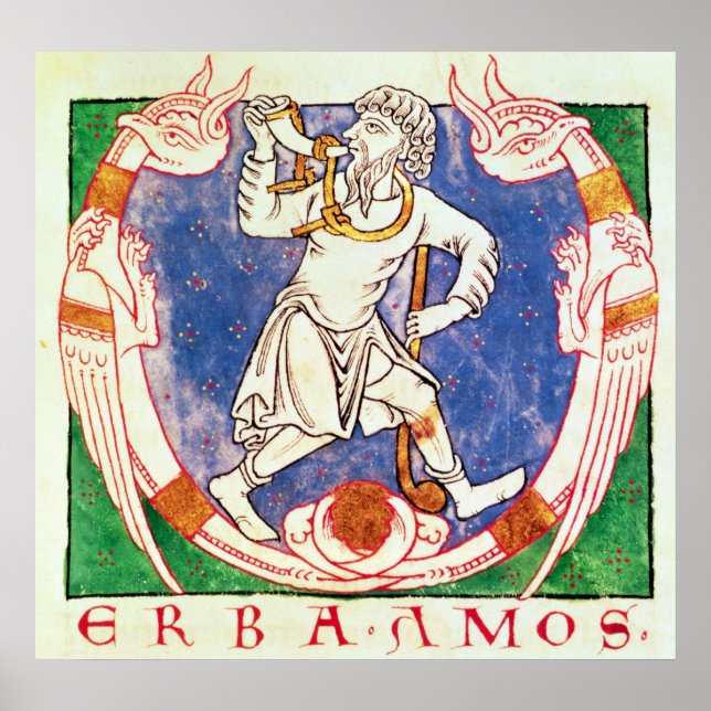 Poster Forme de deux créatures ailées avec entrelacs (Devant)