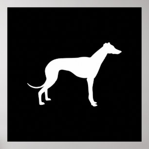 Poster Forme noir et blanc de Greyhound