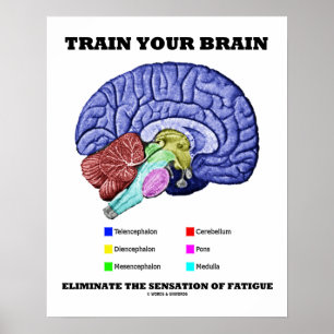 Poster Former Votre Cerveau Éliminer La Sensation De Fati