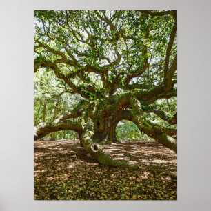 Poster Forte Et Grave