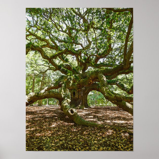 Poster Forte Et Grave (Devant)