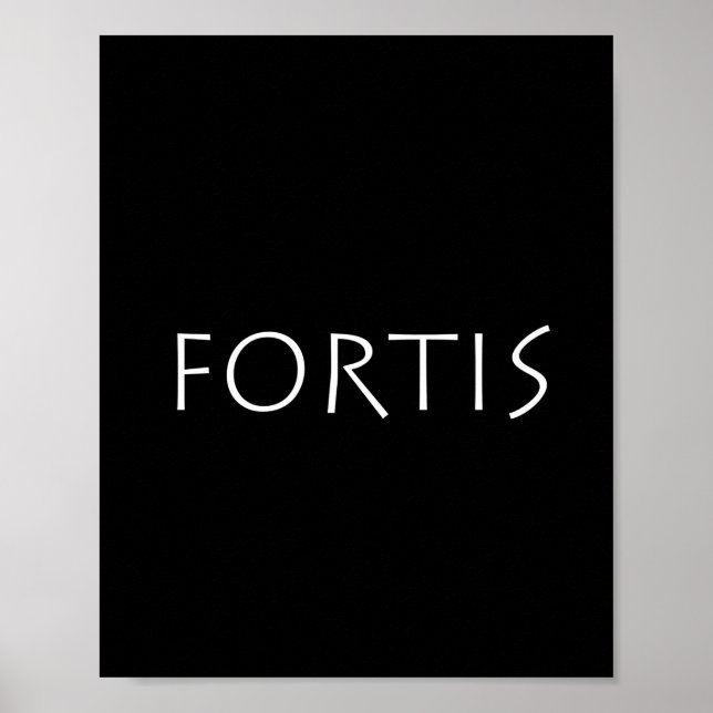 Poster Fortis (Devant)