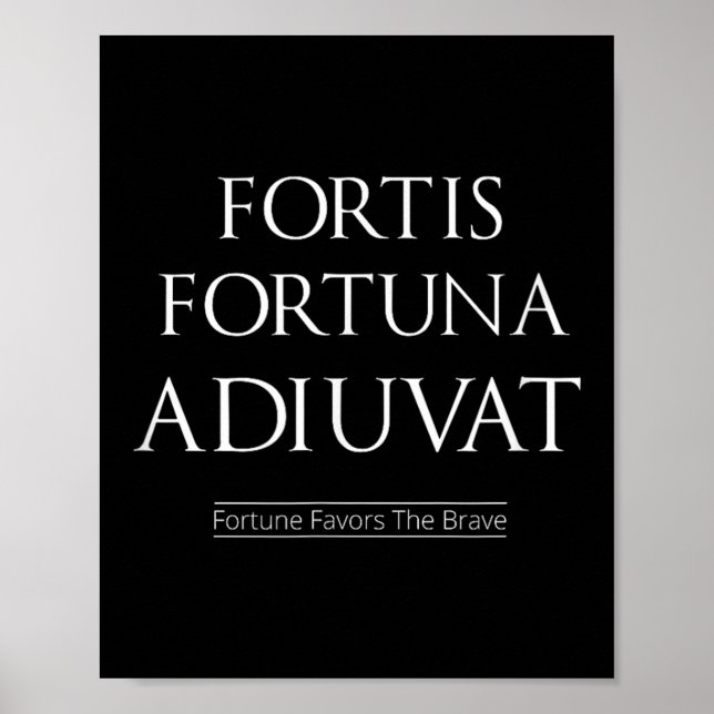 Poster Fortis Fortuna Adiuvat Fortune Privilégie Les Cour (Devant)