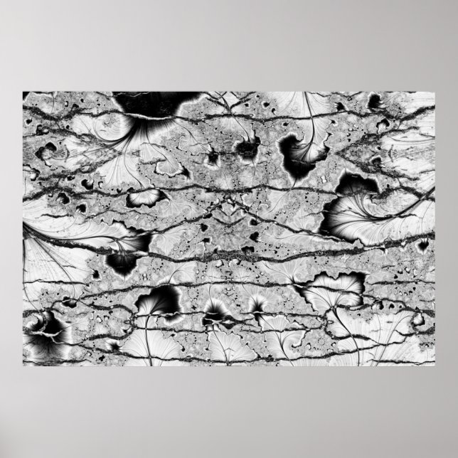 Poster Fossile (Devant)