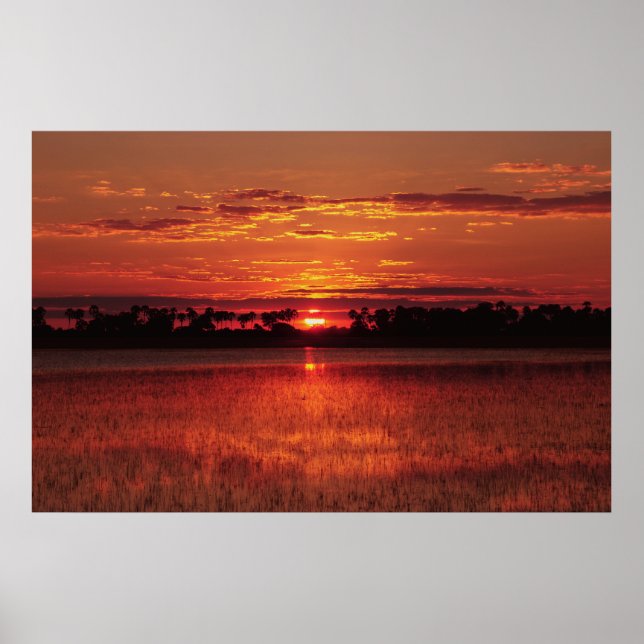 Poster, Fotos und Bilder für afrikanische Sonnenun Poster (Vorne)