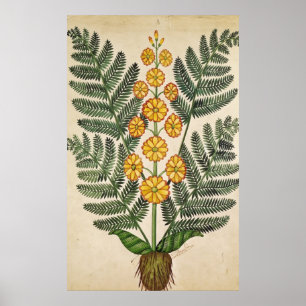 Poster Fougère avec les fleurs jaunes