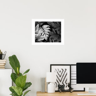 Poster Fougère et feuillage touffu noir et blanc