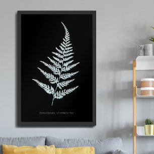 Poster Fougère - Gymnogramma L'herminieri. Effet radiogra