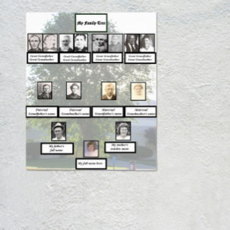 Poster Four-Generation Chinese Elm Family Tree Photos