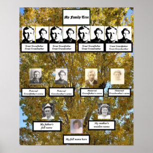 Poster Four Generation Fall Cottonwood Family Tree Photos