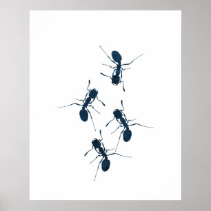 Poster Fourmis