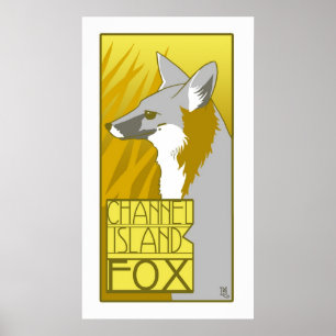 Poster Fox d'île de la Manche