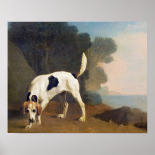 Poster Fox-hound de George Stubbs   sur le parfum, c.1760