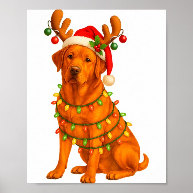 Poster Fox Red Lab Christmas Tree Light Pajama Labrador D (Devant)