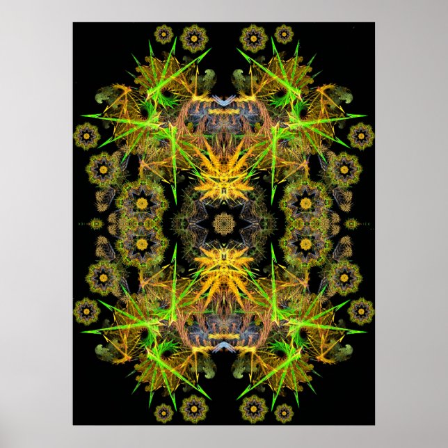 Poster fracktalKan (Devant)