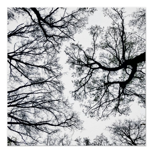 Poster Fractal Zwollenaar (Devant)