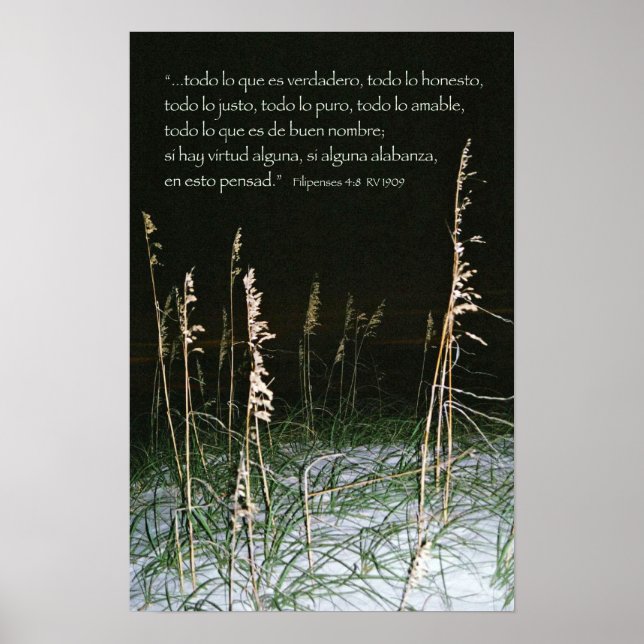 Poster Frais 4-8b (Devant)