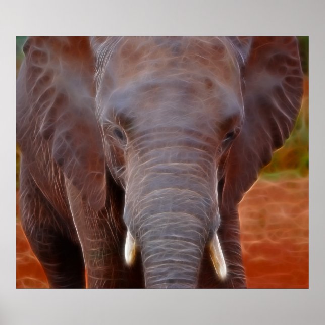 Poster Frais d'éléphants (Devant)