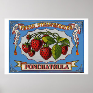 Poster Fraises de Ponchatoula, LA