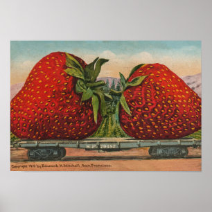 Poster Fraises Giant Fruit Antique Fruit Amusant