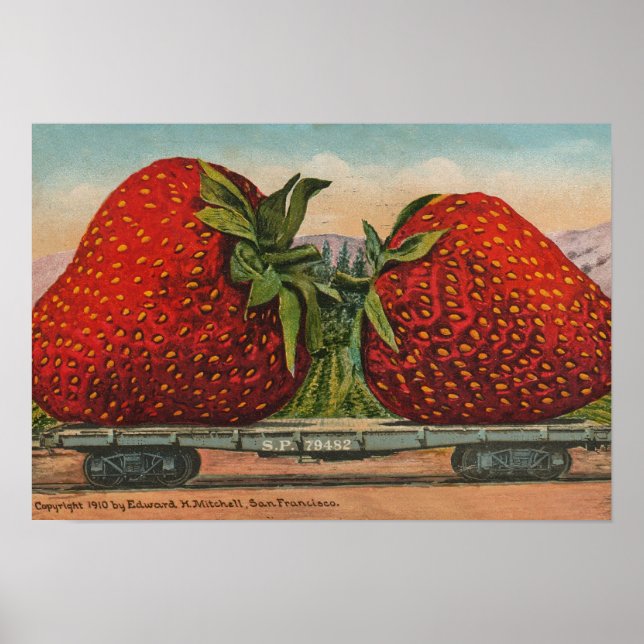 Poster Fraises Giant Fruit Antique Fruit Amusant (Devant)