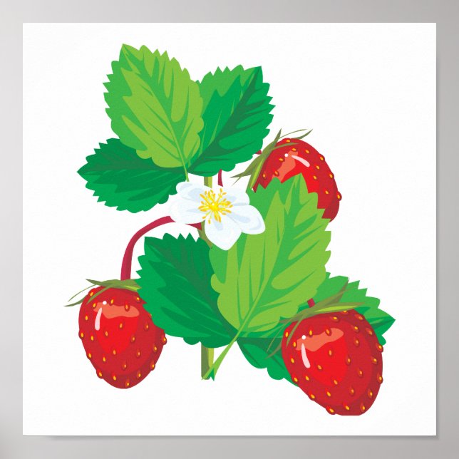 Poster fraises juteuses (Devant)