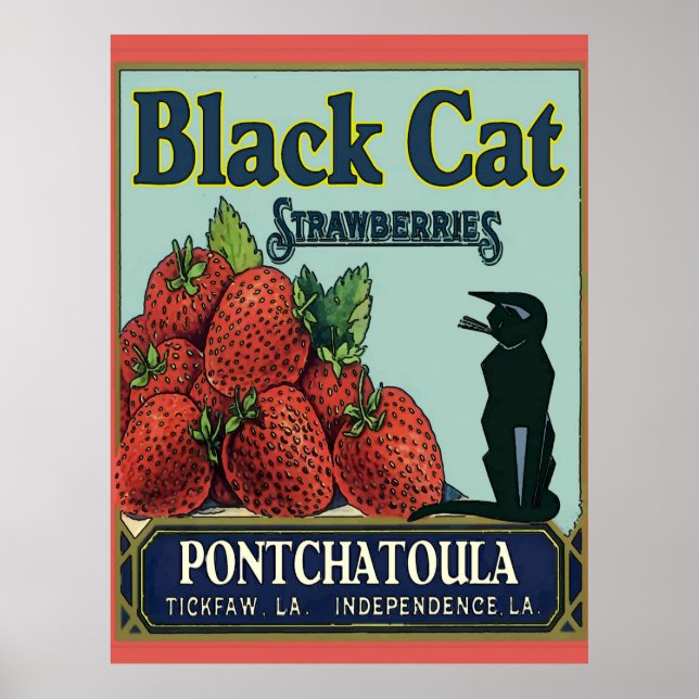 Poster Fraises Pontchatoula, Chat Vintage (Devant)