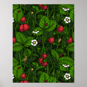 Poster Fraises sauvages